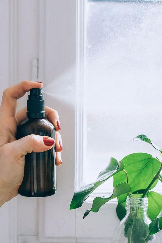 Day 28: Crafting a Hormone-Friendly DIY Room Spray - Nailah Beauty