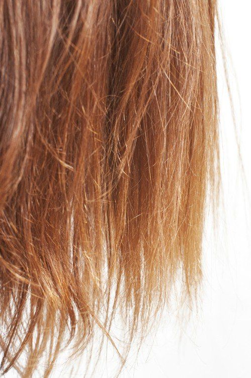 Elegance Unveiled: Best Practices to Tackle Split Ends - Nailah Beauty